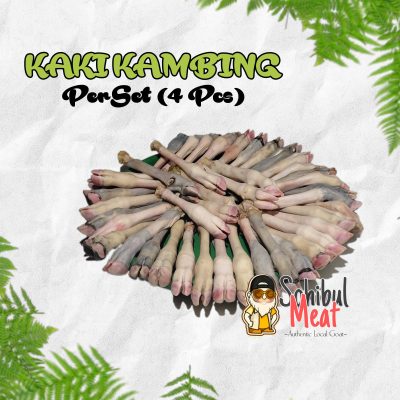 29f7f23c-1ade-4fd1-95ab-cafff01a8d50